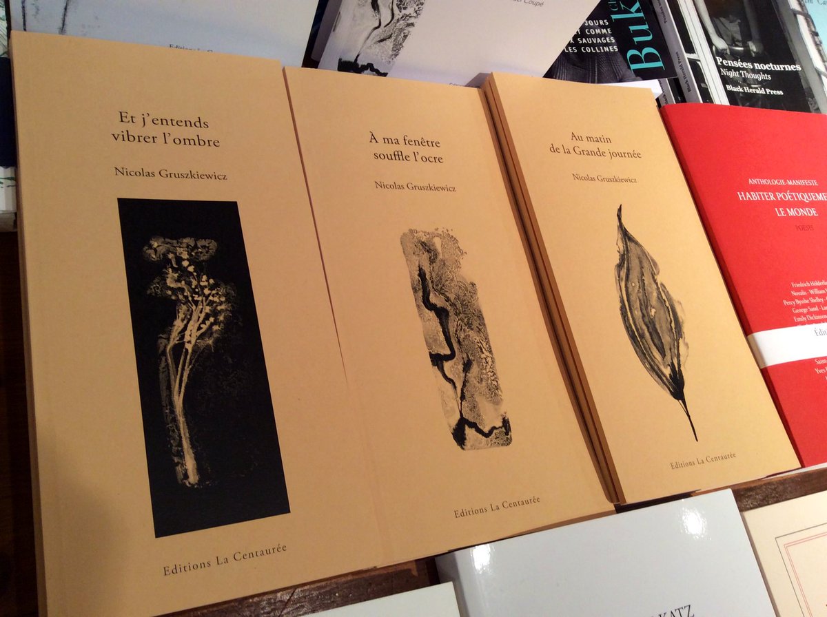 ngruszkiewicz's tweet photo. ~
Découvrez l’ombre, l’ocre
et
pour
refermer
le triptyque, la lumière
avec mon dernier opus :
« Au matin
de la Grande journée »
~
1 commande = 1 dédicace
En vente sur https://t.co/drtp8EcIMO+
et #librairies #LeFailler et #LEncredeBretagne
Poétiquement vôtre !
©️N G https://t.co/HjJCPeng8g