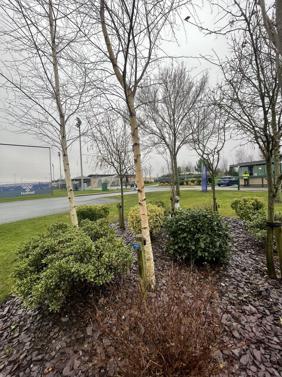 ToffeesTours's tweet photo. No match today but thanks to the fantastic #EITC we were able to visit the tree at Finch Farm planted in memory of Bryan Kayley. A wonderful Dad & lifelong Evertonian sadly missed. #evertoninthecommunity https://t.co/B9VV7ctOKP
