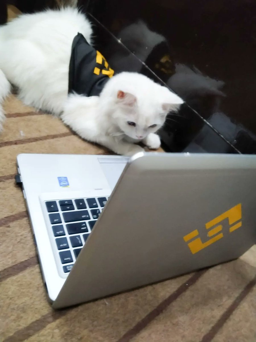 Binance tweet media