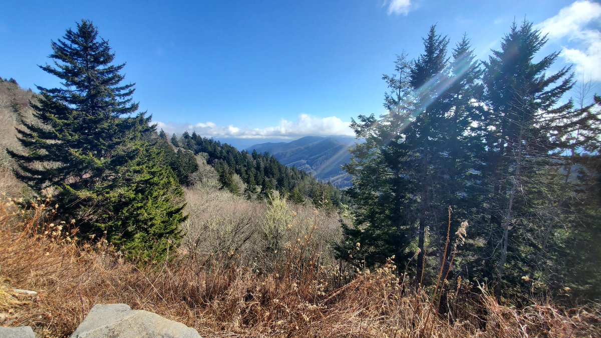 Sometimes it's better just to take a step back and enjoy the small life moments