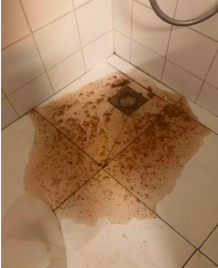 Nakeyii's tweet photo. We are not backing down. Where is my money?
Everyday will be a beautiful day for me to complain until I get my 580 EURO'S BACK. 

We need the company to be inspected @ConsumerReports @EU_Consumer 
 
@Airbnb  
@AirbnbHelp 
 
@Airbnb https://t.co/ZEAghWG558