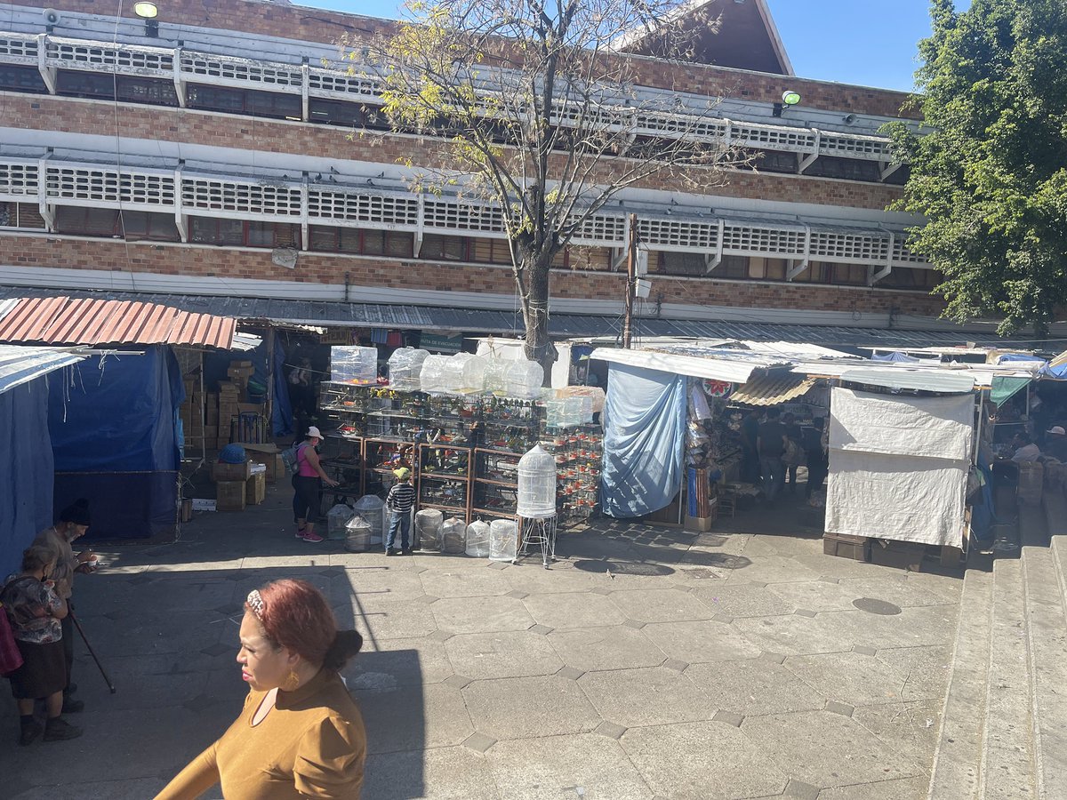 camposomar's tweet photo. Algunos reglamentos en @GuadalajaraGob son de adorno.  En el mercado San Juan de Dios, venden pájaros y como si nada. https://t.co/BGJoQWZUaS