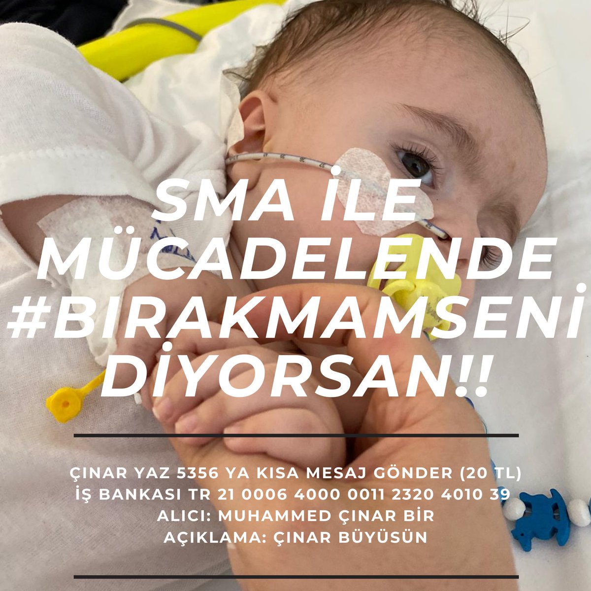 CinarSma's tweet photo. Çınar sizlerin sayesinde tedavisine gidebilir‼
Sizde #Bırakmamseni diyerek bize destek olurmusunuz lütfen💚

#Yanındayızİmamoğlu
#İstanbulTamam
#dogecoin #Ethereum #teskilat https://t.co/ATmh926cMP