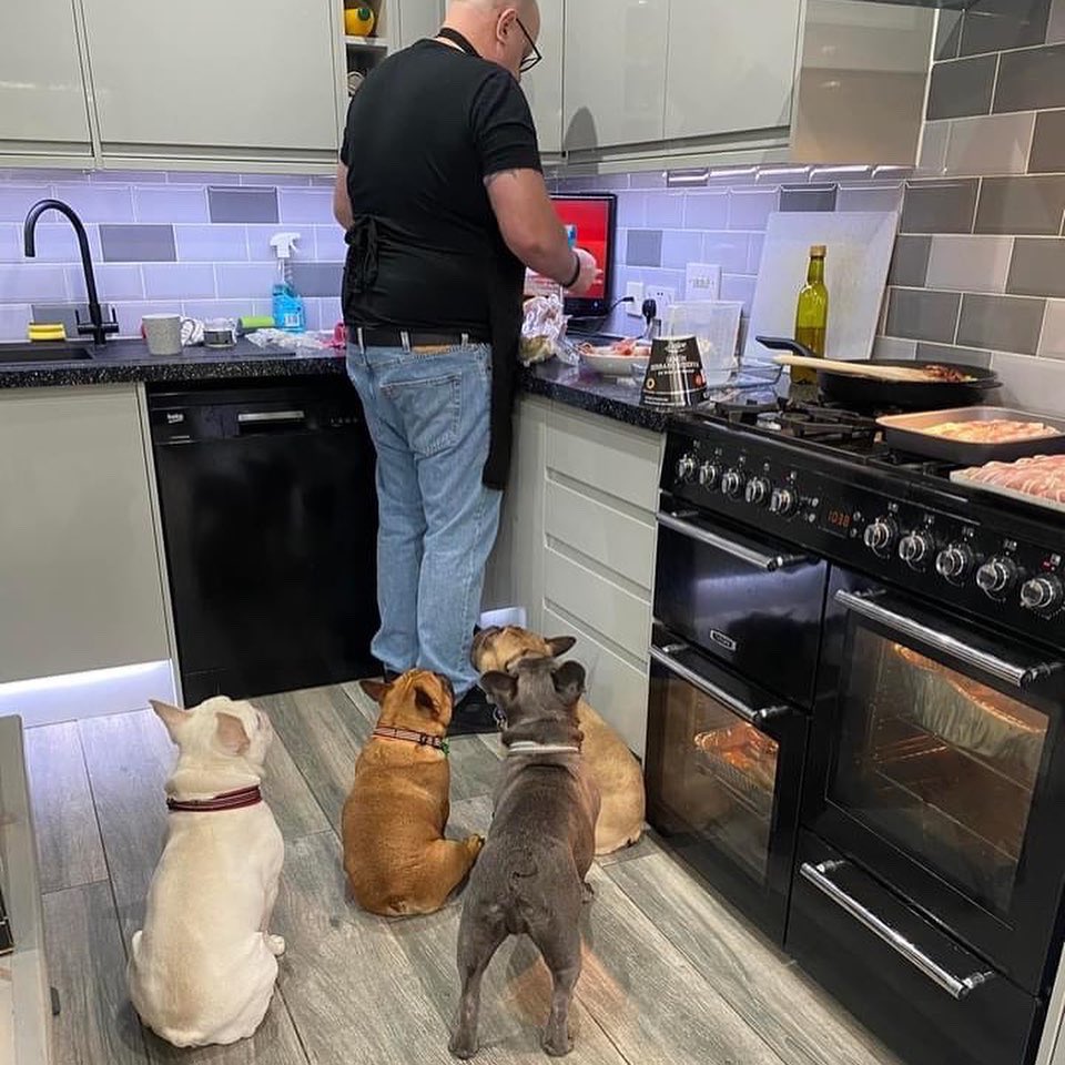 Msg from Toni: Guarding the Turkey and Lamb. Smelling the lamb and waiting for dropsies 🥰😍🤣🤣