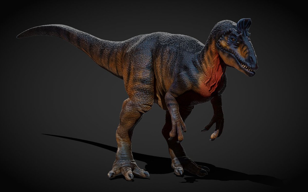 #render #cryolophosaurus

#3D #zbrush #jurassicworld #juassicpark #dinosaurs #renderall #wrex