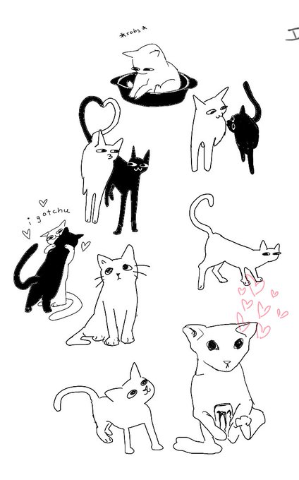 cats i drew on magma :3 