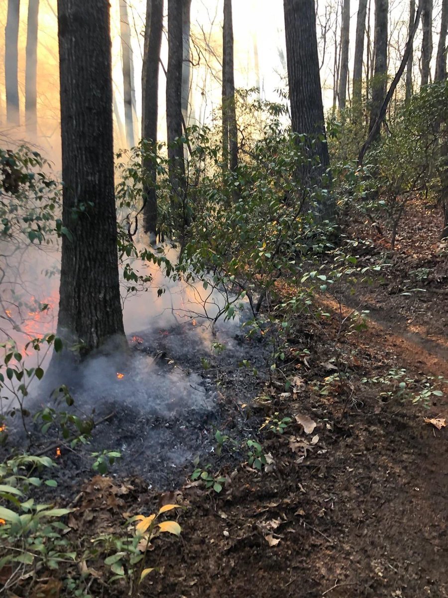 ScottyPowellWX's tweet photo. .@NFsNCarolina reports the #LostCove fire is 10 miles Southeast of the town of Linville in the Grandfather Mtn ranger district. It has burned 350 acres with 10% containment. Several hiking trails are closed. 

📸 - US Forest Service https://t.co/vZoFOGksIS