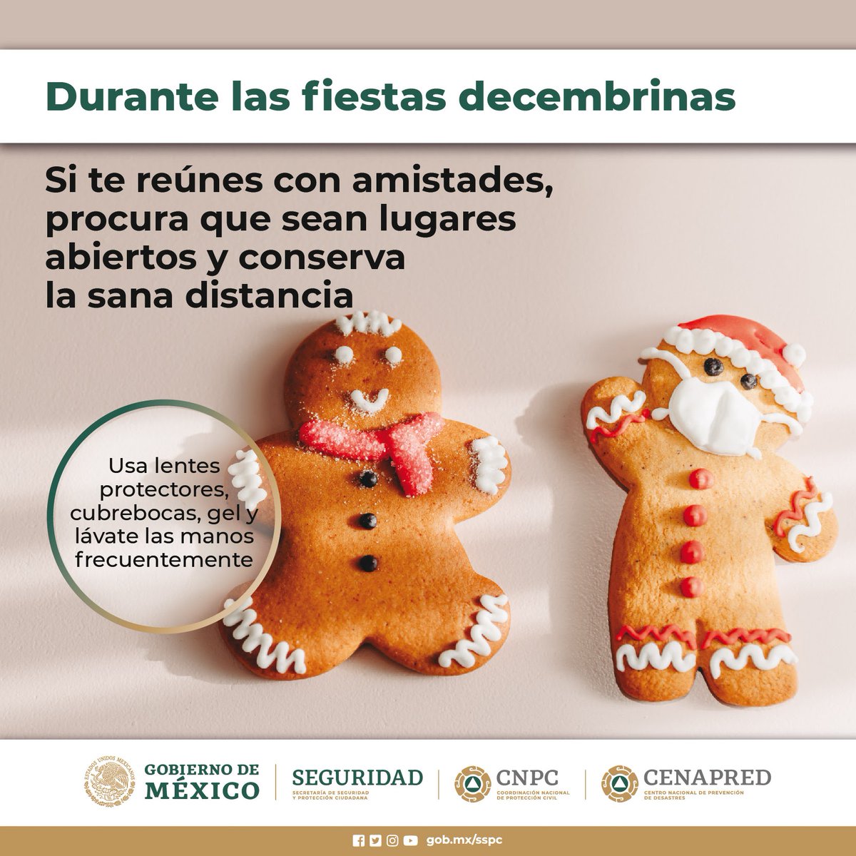 CNPC_MX's tweet photo. Ante la #pandemia por #COVID19 🦠, en estas fiestas decembrinas 🎄🎉, entre menos gente se reúna es mejor.

Atiende estas recomendaciones.👇 https://t.co/oD0eY36Q1M