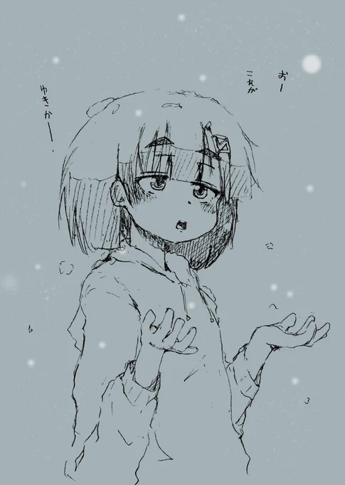 うちの子マイヤちゃん
雪を初観測 