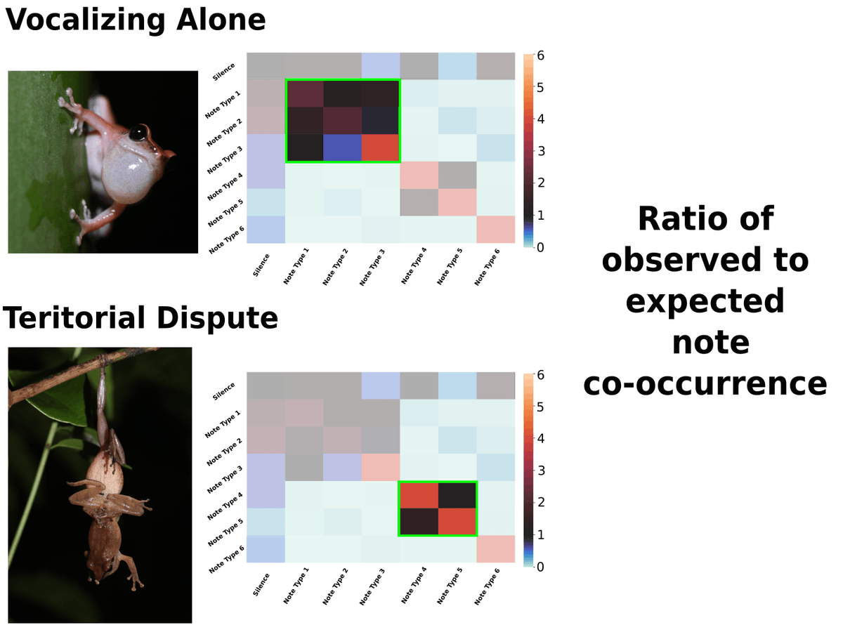 SICB_DAB's tweet photo. Check out @ShikharaBhat's work on context-dependent changes of vocal sequence structure in anurans at the #SICB2022 DAB #beststudentpresentation! https://t.co/gbh5cpkBfq