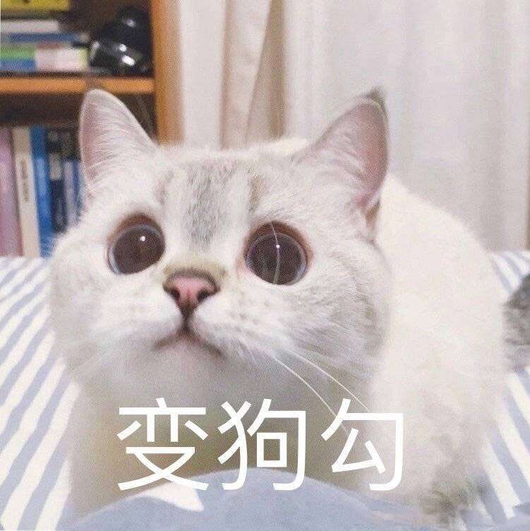 唐突变狗勾的娜罗延小姐~明明是我自己的狗勾装，自己却从来没穿过，似乎该反思了，看表情似乎正在沉思什么…狗生之类的？
#k9 #latex #胶衣 #人形犬