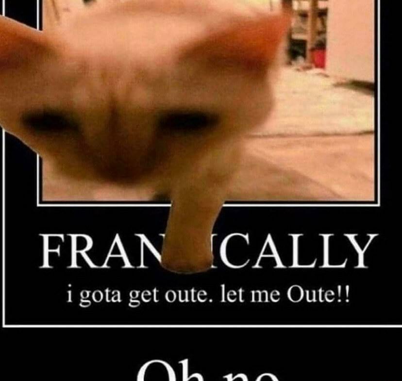 𝙇𝙄𝘾𝙊𝙍𝙄𝘾𝙀 𝘾𝙊𝙊𝙆𝙄𝙀! (@p0weroflicorice) on Twitter photo 