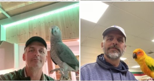 Life Coach Leal tweet media