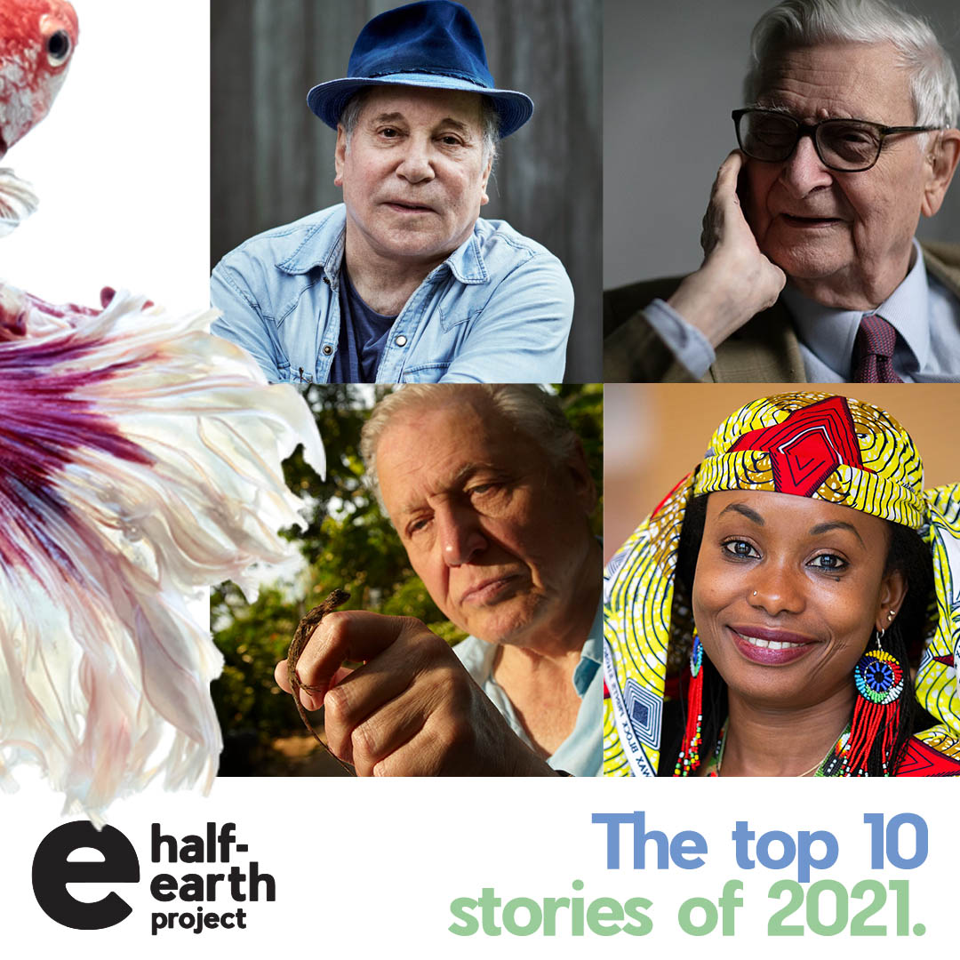 EOWBF's tweet photo. #8 in the top stories of Half-Earth Project:  our latest film, Saving Biodiversity: The Next Big Thing, premiered at Half-Earth Day and Global Citizen Live.  Watch the film at https://t.co/CS1sw1FMTl
#2021top10
#naturefilm
#halfearthday2021
https://t.co/8HY64uXXCB https://t.co/IyTMxTfz0j