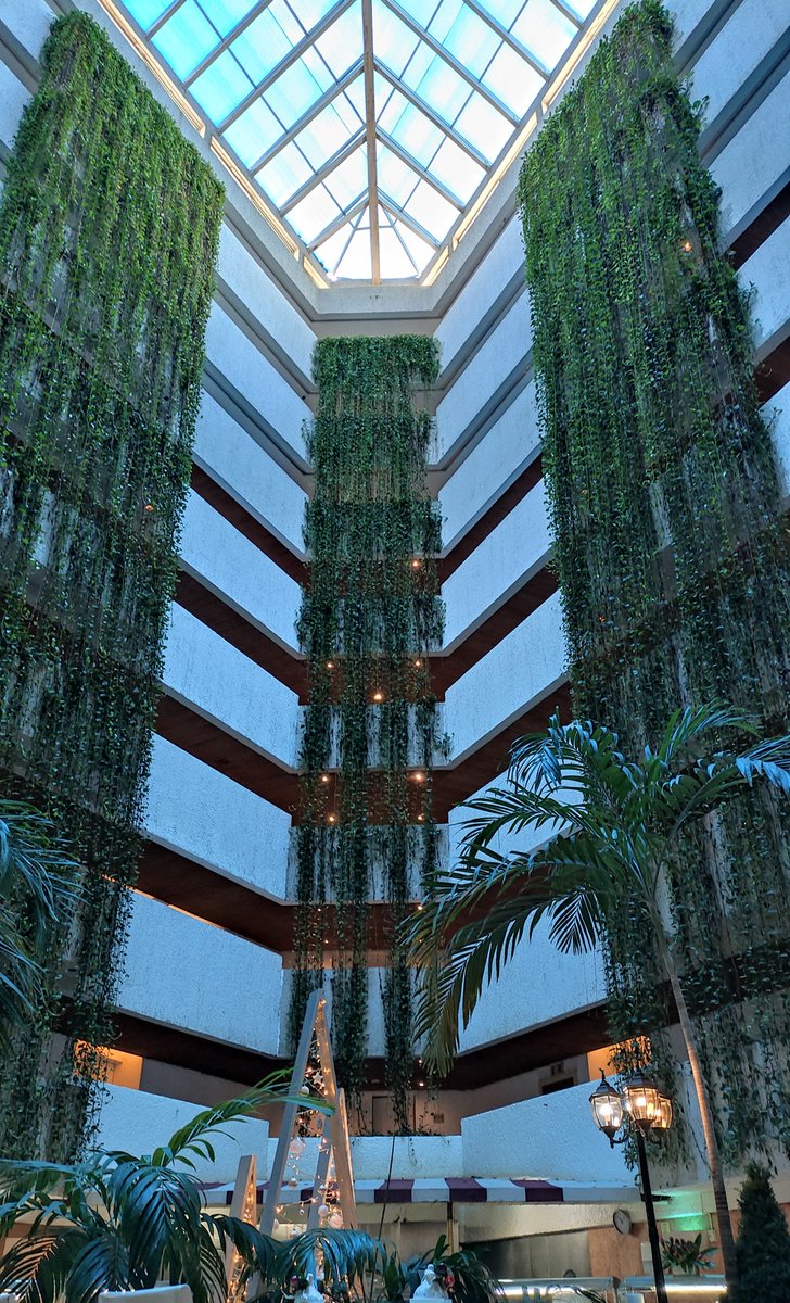 SunsetCancun's tweet image. One of the most beautiful pictures of Capriccio by our guest Martin Llan. 
#SunsetWorldIsBack