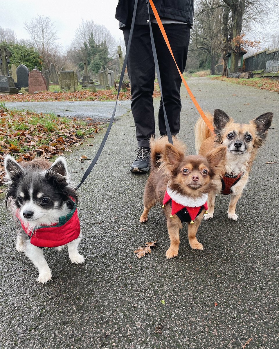 zoelee's tweet photo. Walk with the kids 📸 https://t.co/6FgmKUvM49