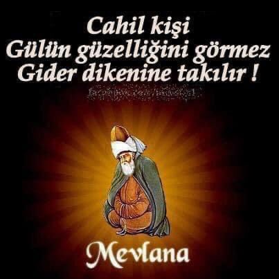 Servet ALTUNTAŞ (@servetal61) on Twitter photo 