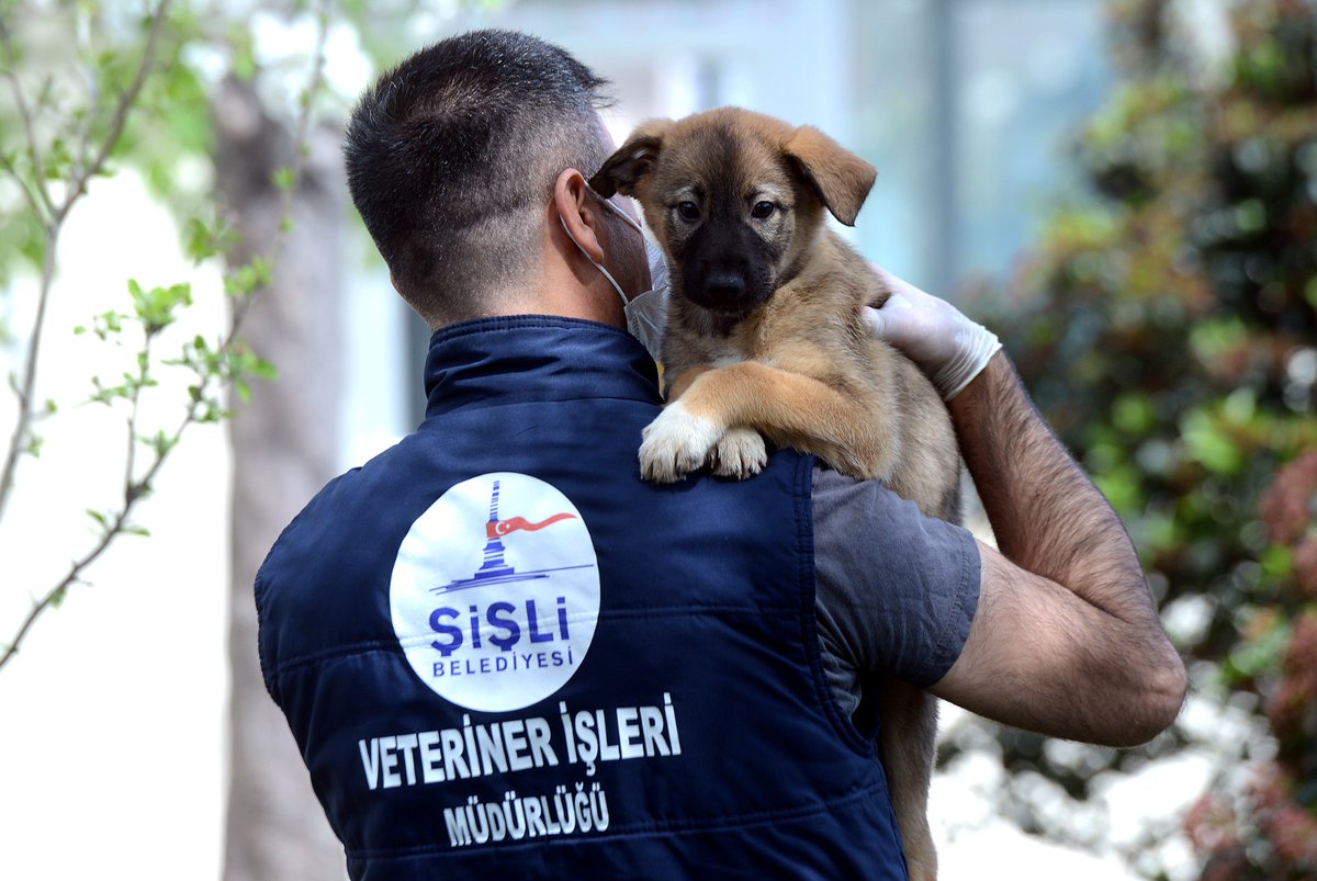 sislibelediyesi's tweet photo. Şişli'de hiçbir can dostumuz sahipsiz değil! 🐶🐈

Hayatı paylaştığımız can dostlarımızı korumaya, tedavilerini gerçekleştirmeye devam edeceğiz. Komşularımızın içi rahat olsun hiçbir dostumuzu yaşam alanlarından koparmayacağız. Onları gönülden seviyoruz. ❤️ https://t.co/uKWqZzmwJd