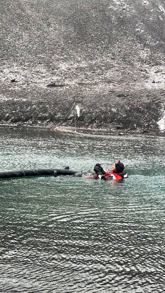 Antartica_ET's tweet photo. ➡️ Tras la apertura de la Base Antártica Española “Gabriel de Castilla”, que realizó su jefe el pasado día 2️⃣3️⃣ de Diciembre, ya están activados la mayoría de los servicios pero se seguirá con los trabajos de activación durante la semana.

🇦🇶🇪🇸📡🔬

@EjercitoTierra https://t.co/gO55WsTa76