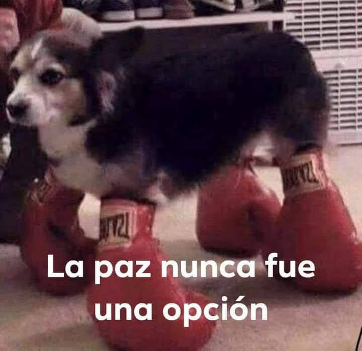 Defkyum_GRM7's tweet photo. @Natalan_ Fan de Kunno si no ayudan a Natalan, @TeamYouTube. https://t.co/7tsESq3rCl