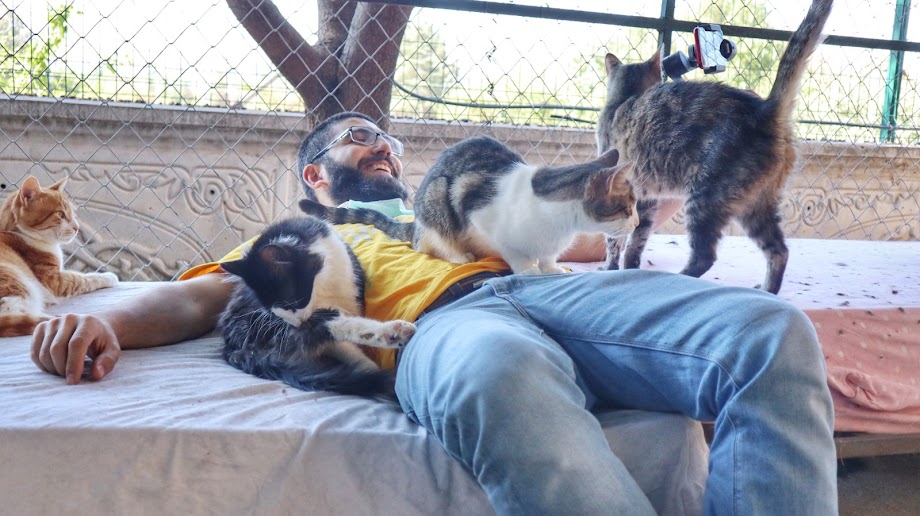 #barınakistiyoruzfakat böyle olsun be başkanım <a href="/mansuryavas06/">Mansur Yavaş</a>