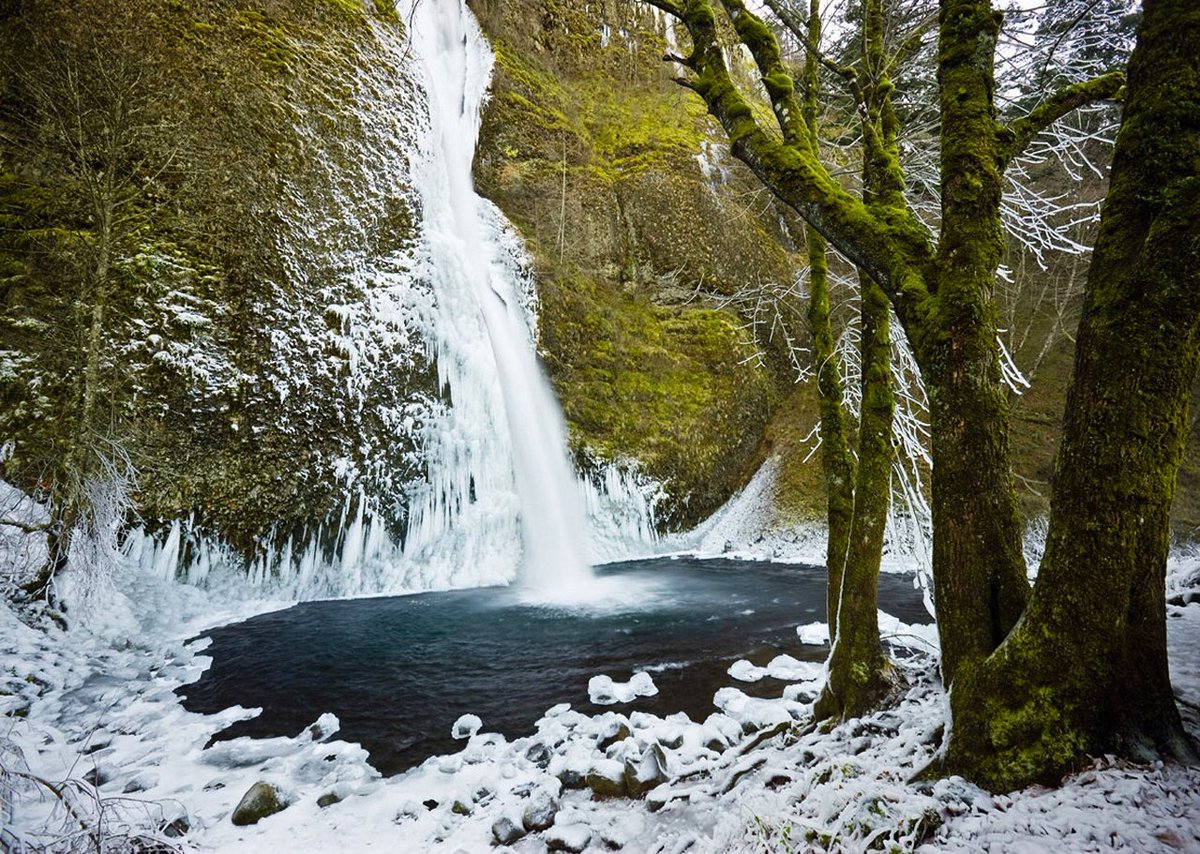ForestServiceNW's tweet photo. “Nature's peace will flow into you as sunshine flows into trees. Winds will blow their own freshness into you.”

--John Muir https://t.co/C0BImEX5lV