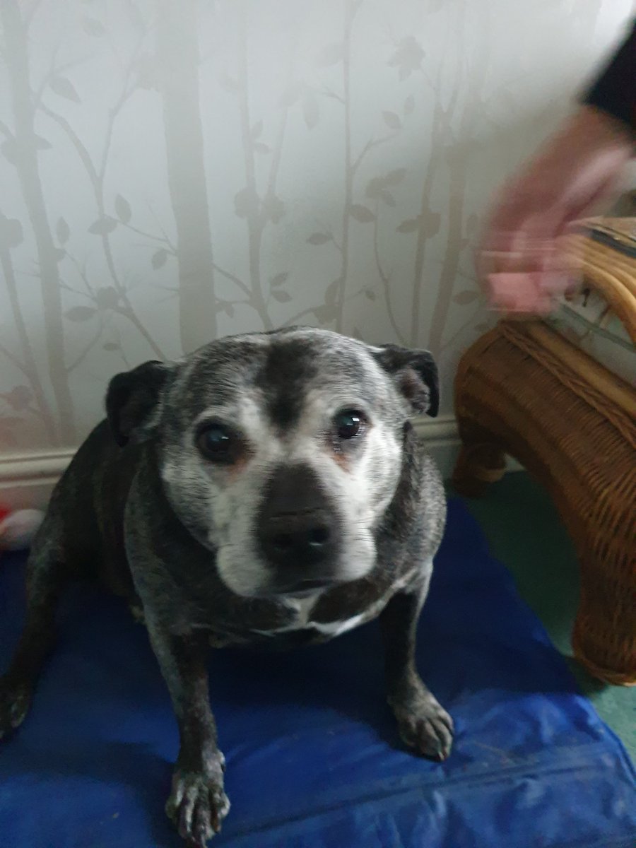 Kia the beautiful tweet media