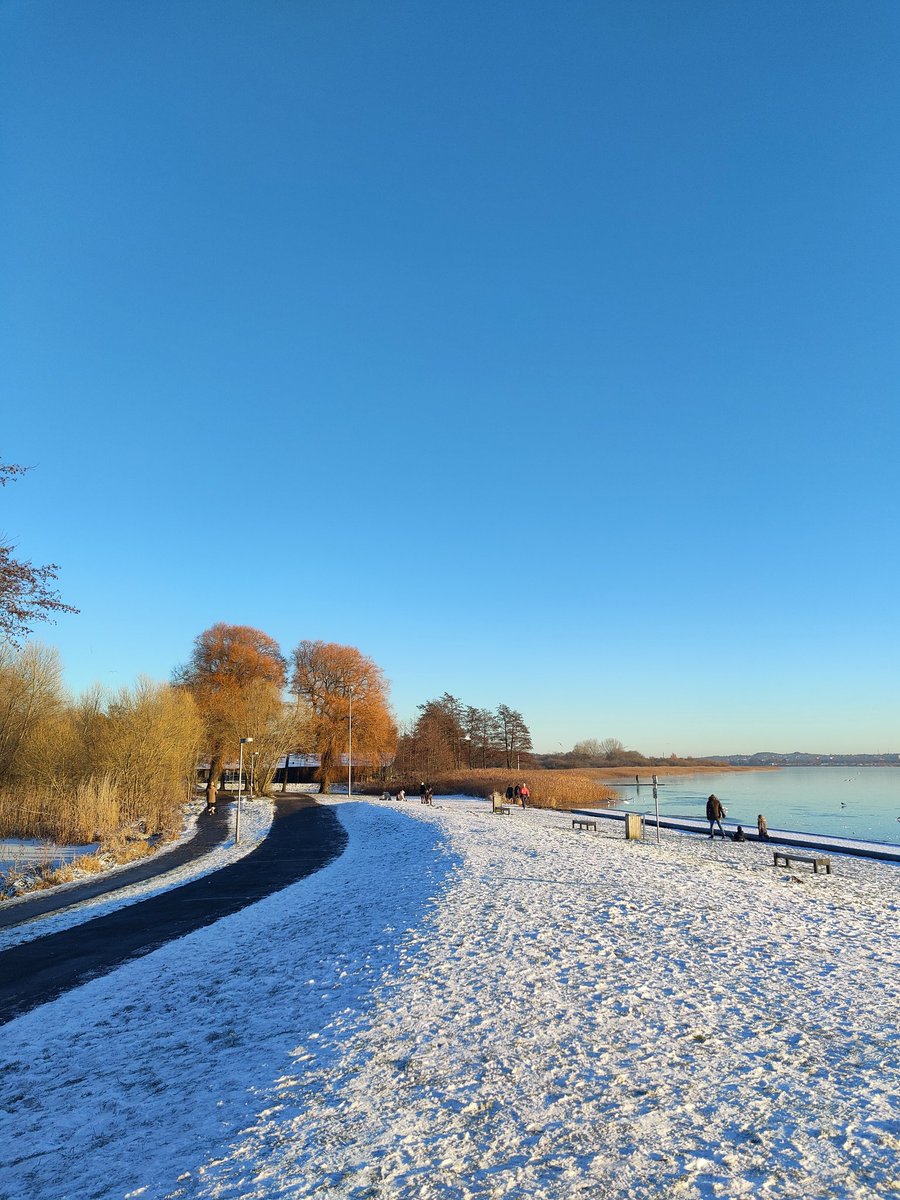 SavoirThere's tweet photo. Lovely #BoxingDay walk at #Brabrand Lake, beautiful winter light and colours. https://t.co/kbbKwW7eyt