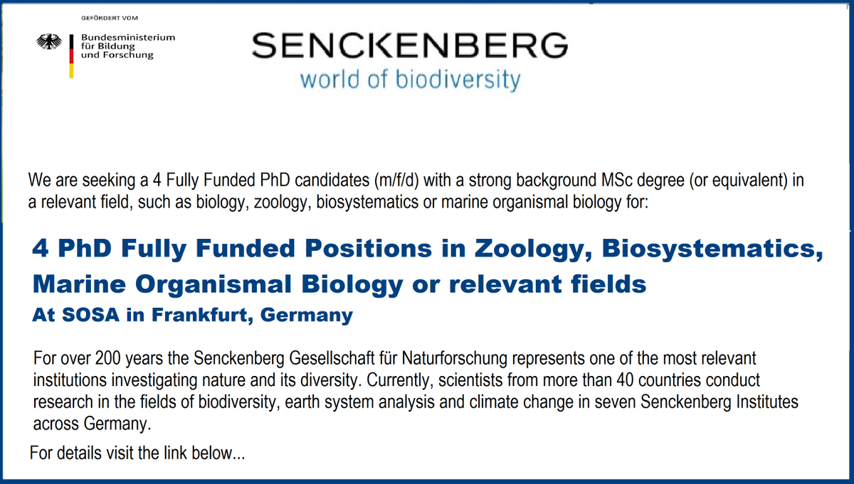 📌 4 PhD Fully Funded Positions in zoology🦭🦈🦐, biosystematics, marine organismal biology or relevant fields at SOSA in Frankfurt, Germany🇩🇪.... Please Retweet and spread the word! For details visit the link below👉👉 wp.me/pbv48T-1JO