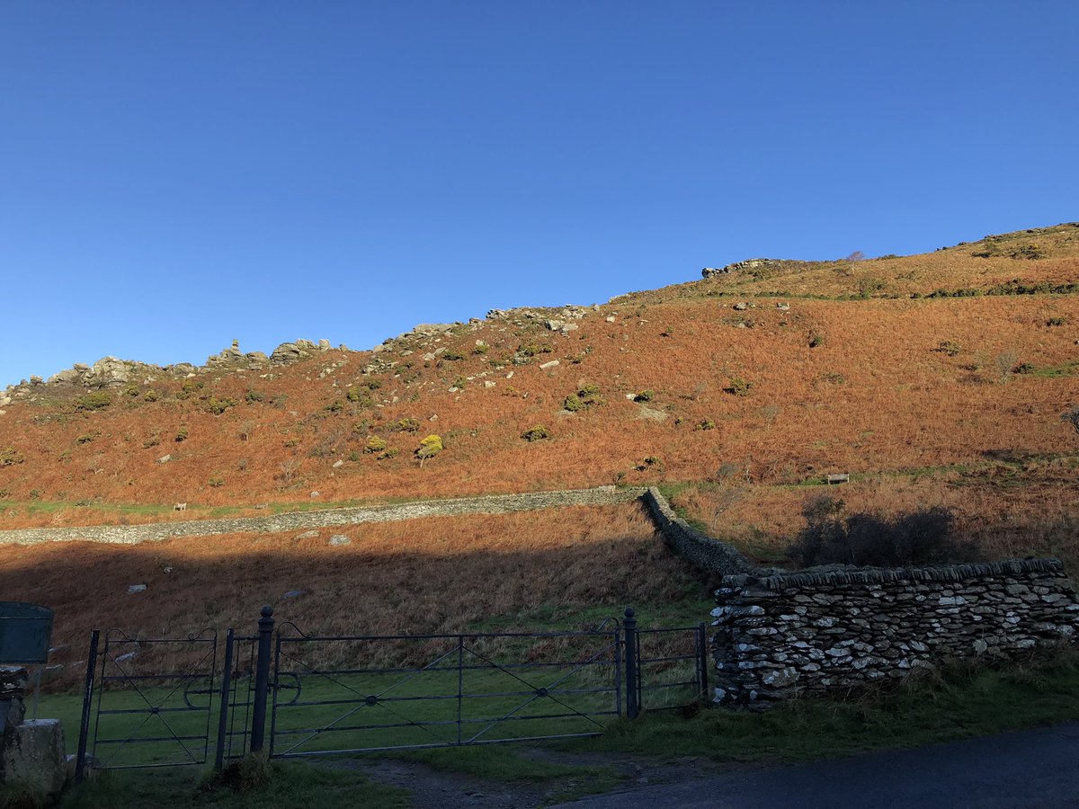 lddunster's tweet photo. Boxing stroll around the Valley of Rocks. Lovely day 👍🙂 https://t.co/CDM1mFrzc7