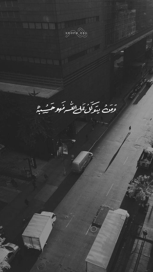 SalehyslimM's tweet photo. ولا تظن بربك غير خيرٍ، فإن الله أُولى بالجميل

- علي بن أبي طالب https://t.co/MW6TeBkJ36