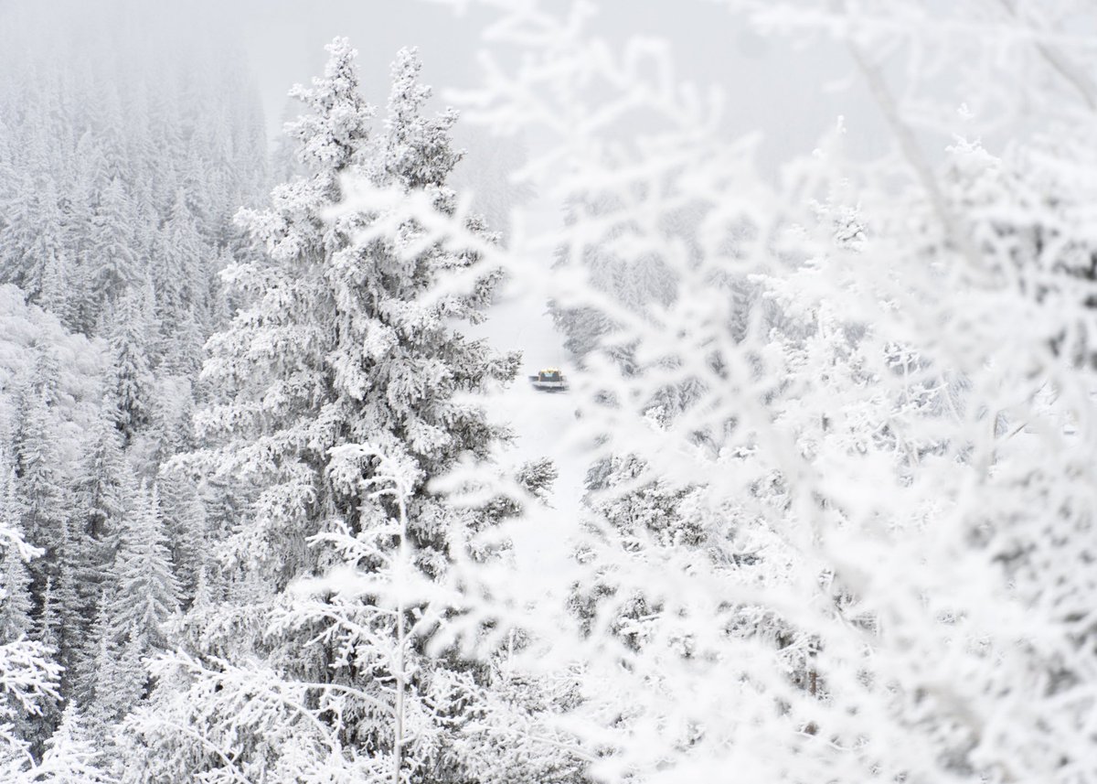 It’s a winter wonderland out there, with more snow on the way, this truly is the land of enchantment.

#skibueno #skisantafe
