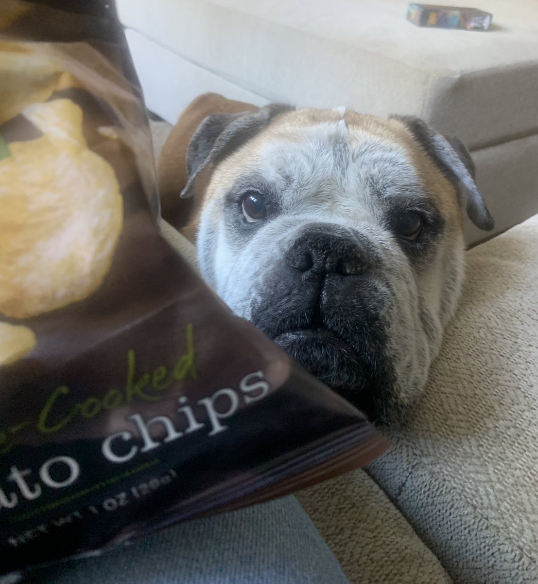 CharlieTheBull4's tweet photo. I’ll give ya two guesses who likes chips. https://t.co/YBDjKKoqNb
