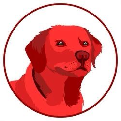 souljaboy's tweet photo. The American dog that keeps growing -just like their chart). Check out @cliffordinu_io who hit 200m mcap in 5 days-these guys are killing it! Find out what all the hype is about https://t.co/bn5JTzA36P.

I heard they have a massive giveaway coming (100k 👀). Ya'll heard it here! https://t.co/MC8So8VJ64