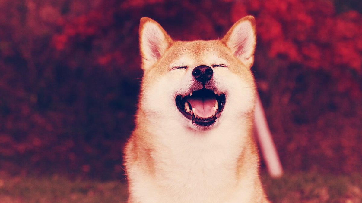 CryptoNaming's tweet photo. Aave, Terra, Polygon, SHIB Outpace Bitcoin, Ethereum - Crypto enjoyed a bit of a Santa Claus rally this week. Aave, Terra, Polygon, and SHIB posted the highest gains in the week that ended with Christmas.
>>> https://t.co/OeFkakatIr

@decryptmedia
#crypto
#domainforsale https://t.co/7CyuMwUhv2