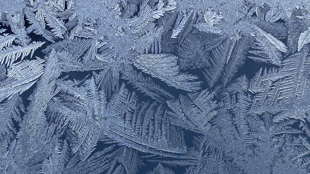 NeilEnock's tweet image. Today’s magical Morning #MugShotz! The cold temperatures have brought out the frost fairies!  What else do you see?! ❄️😊☕️