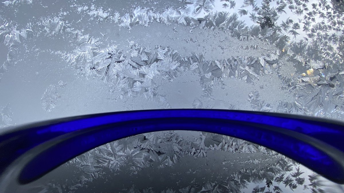 NeilEnock's tweet image. Today’s magical Morning #MugShotz! The cold temperatures have brought out the frost fairies!  What else do you see?! ❄️😊☕️