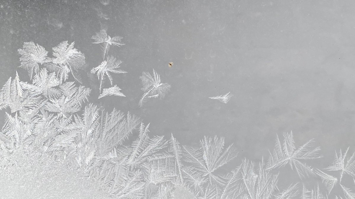 NeilEnock's tweet image. Today’s magical Morning #MugShotz! The cold temperatures have brought out the frost fairies!  What else do you see?! ❄️😊☕️