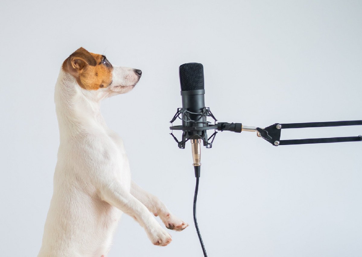 Our favorite science podcast episodes of 2021 popsci.com/science/best-s…