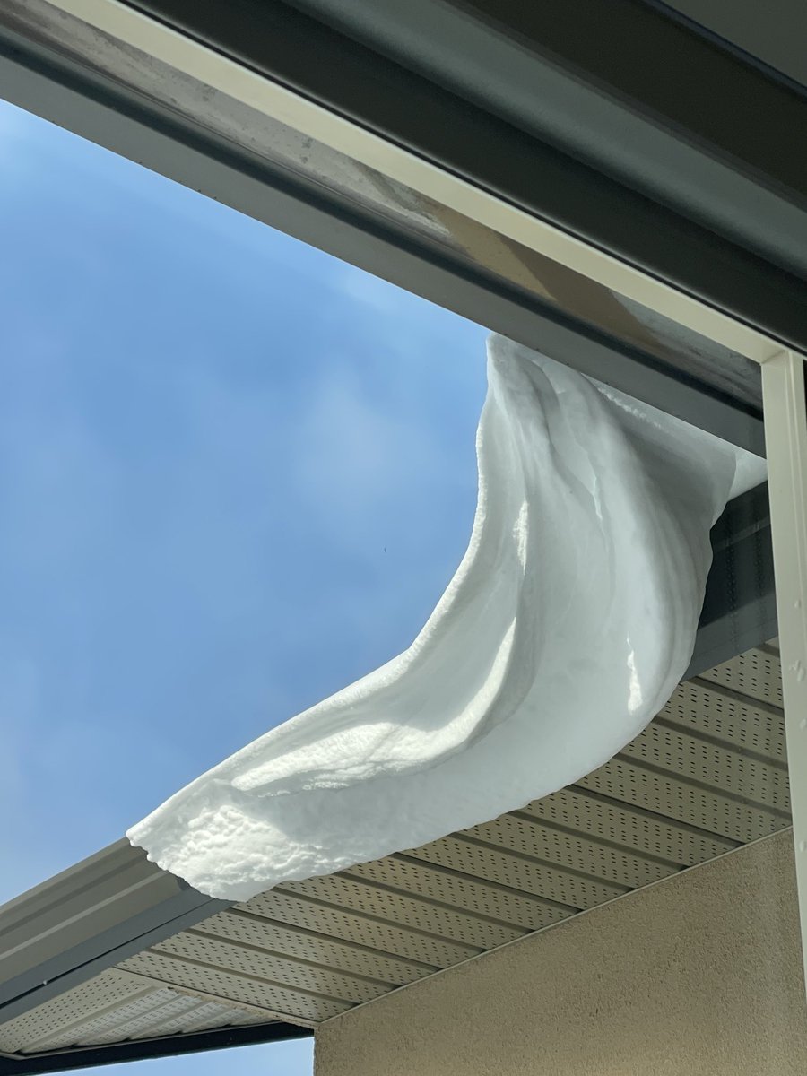 karen_kelowna's tweet image. Do not stand underneath. #donotlookup