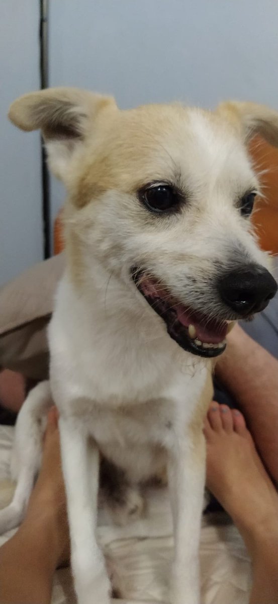 Juan Carlos Dos Santos G. חואן קרלוס tweet media