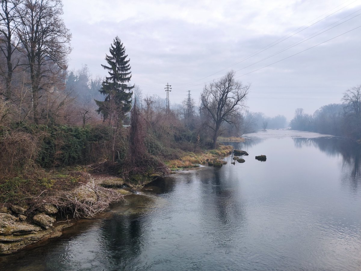_topwolf_'s tweet photo. #MTB #Adda #Naviglio #Concesa #Trezzo #CrespiAdda https://t.co/oD0M1c0nhW