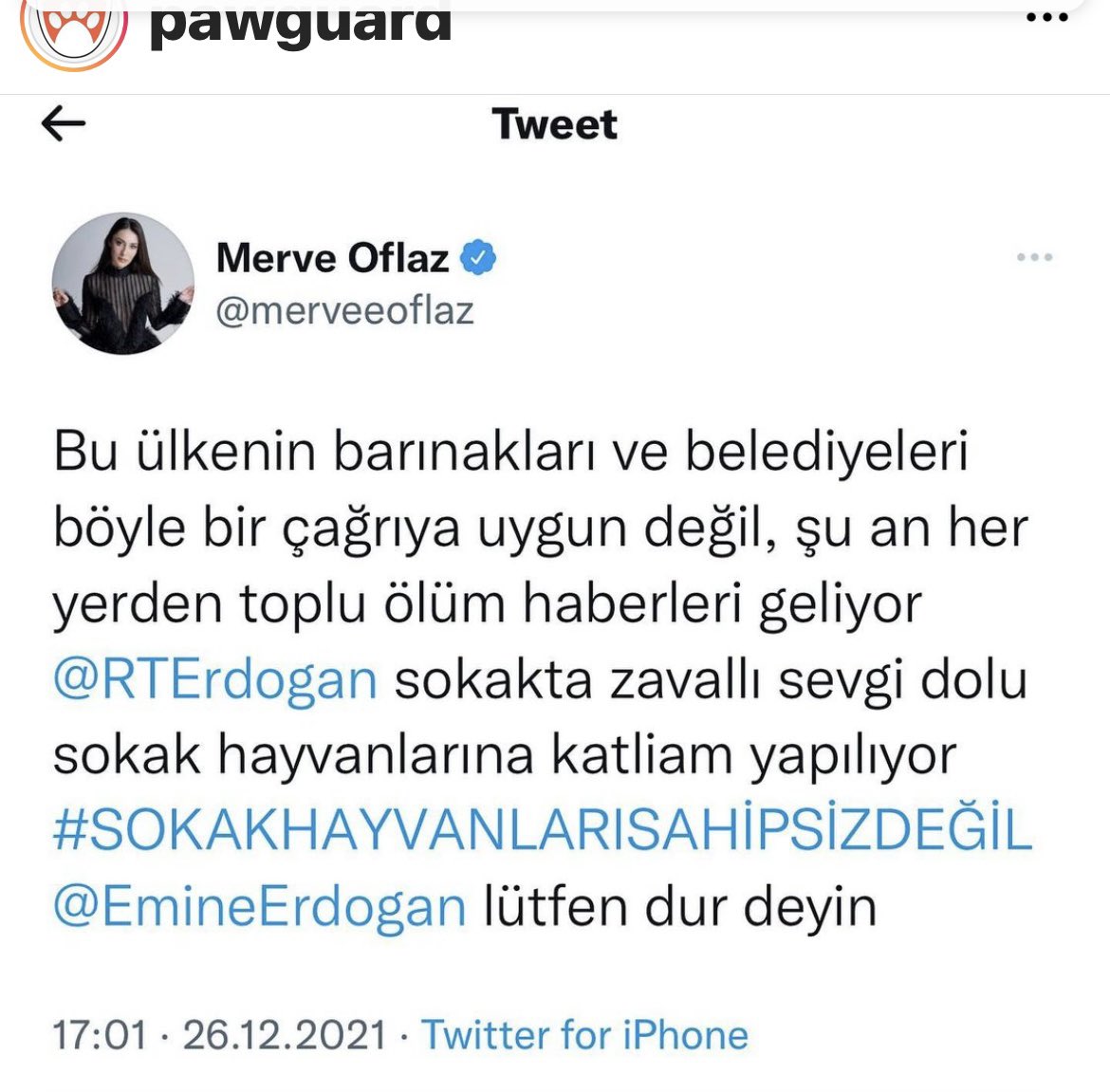 #SOKAKHAYVANLARISAHİPSİZDEĞİL  🙏🙏🙏