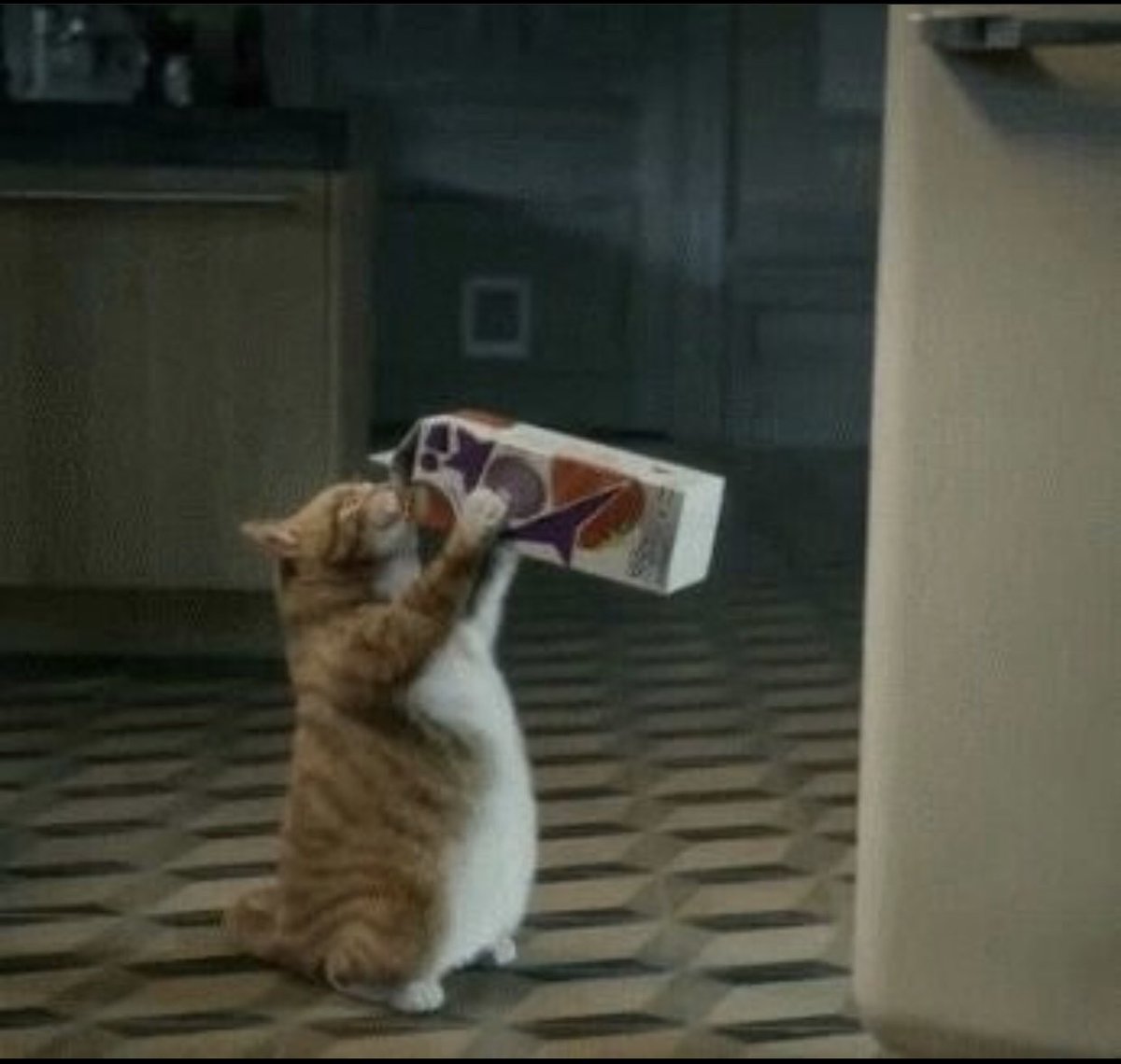 içme diyorlar zararlı 
 söylesene sensizlik çok mu yararlı