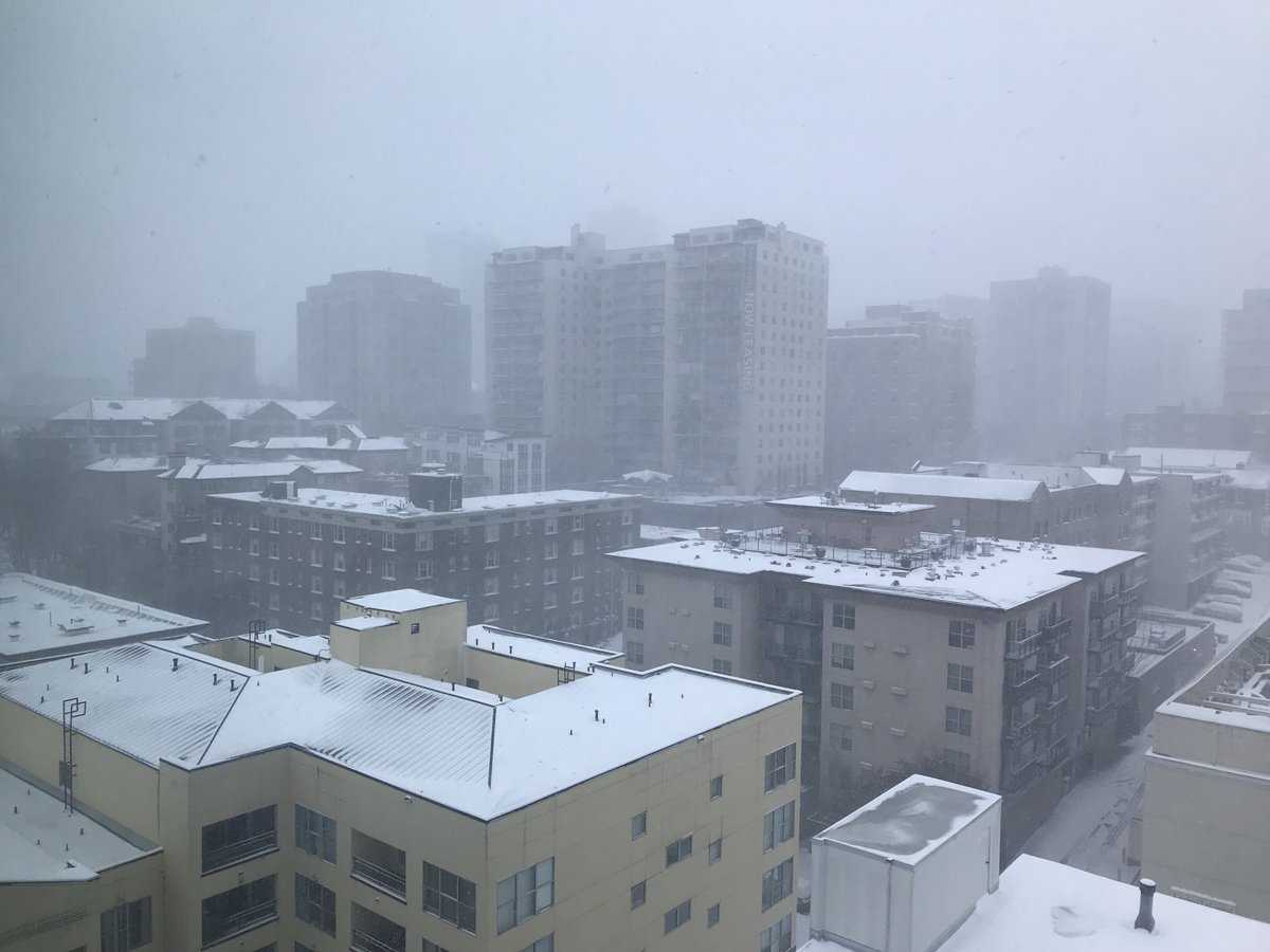 HeatherBosch's tweet image. #SeattleSnow ⁦@CityofSeattle⁩ getting serious snow in time for ⁦@Seahawks⁩ game! More ⁦@KIRORadio⁩ ⁦@Mynorthwest⁩