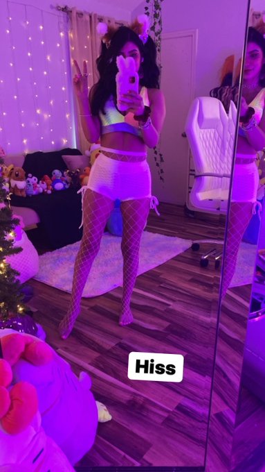 live meow :3 https://t.co/DrI5wz7RRX<a href="/tag/vancouver"class="tags"><span>#vancouver</span></a>