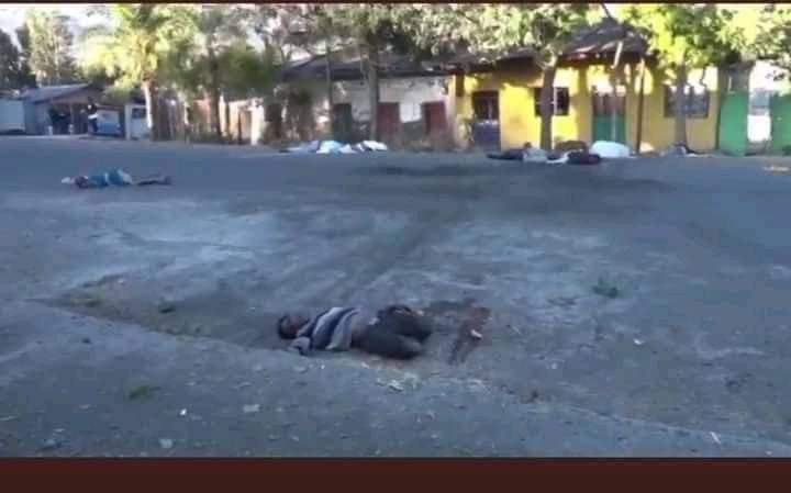 SuleimanAbdell7's tweet photo. This is how the terrorist TPLF massacred innocent people in Kobo town of Amhara region
#FakeTigrayGenocide 
#TPLFTerroristGroup
#AmharaGenocide 
#AfarGenocide
#NoMore https://t.co/t0rNCvlgsw