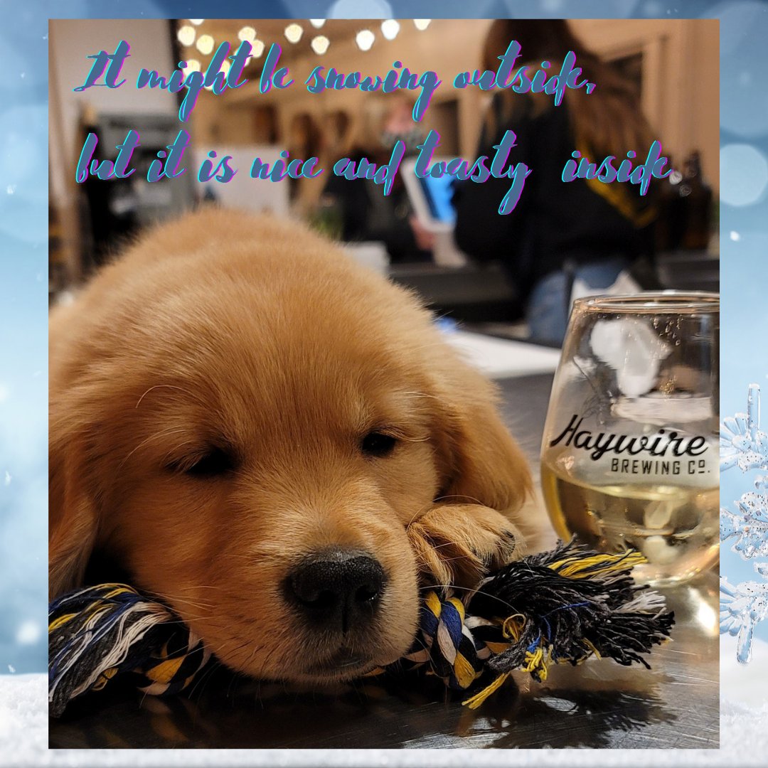 Haywirebrewing's tweet photo. ❄🍻 OPEN 1-6PM TODAY 🍻❄

It may be snowing outside, but it's nice and toasty inside.

No food truck today so you are welcome to bring yours in or order from a local restaurant.  

See you all soon!

#haywirebrewery #drinksnohomish #craftbeer #beerndogs https://t.co/8jyeOgC0Fv