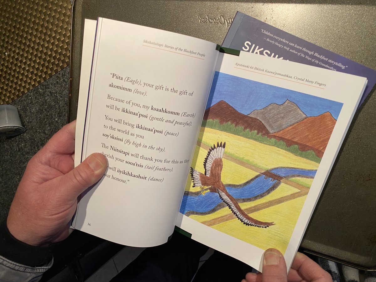 Beautiful printers proofs for Siksikaitsitapi: Stories of the Blackfoot People. The book releases on Spring solstice and we are really excited to share. #Blackfoot #Readalberta