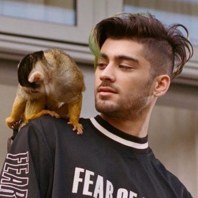 zjmsalien's tweet photo. For Zayn malik upcoming birthday on 2022 Jan 12 — we’re (The Zquidies GC) inviting all Zquad to help earth begin again by planting nearly acre of forest in Zayn’s honor on or before his special day. Please check out the 2nd post of this thread for details~ https://t.co/1oT0I3sG3j